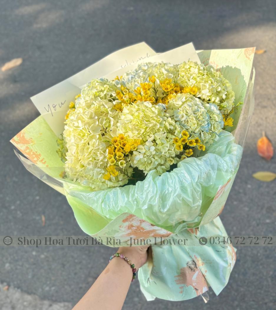 Bó Cẩm Tú Cầu-05